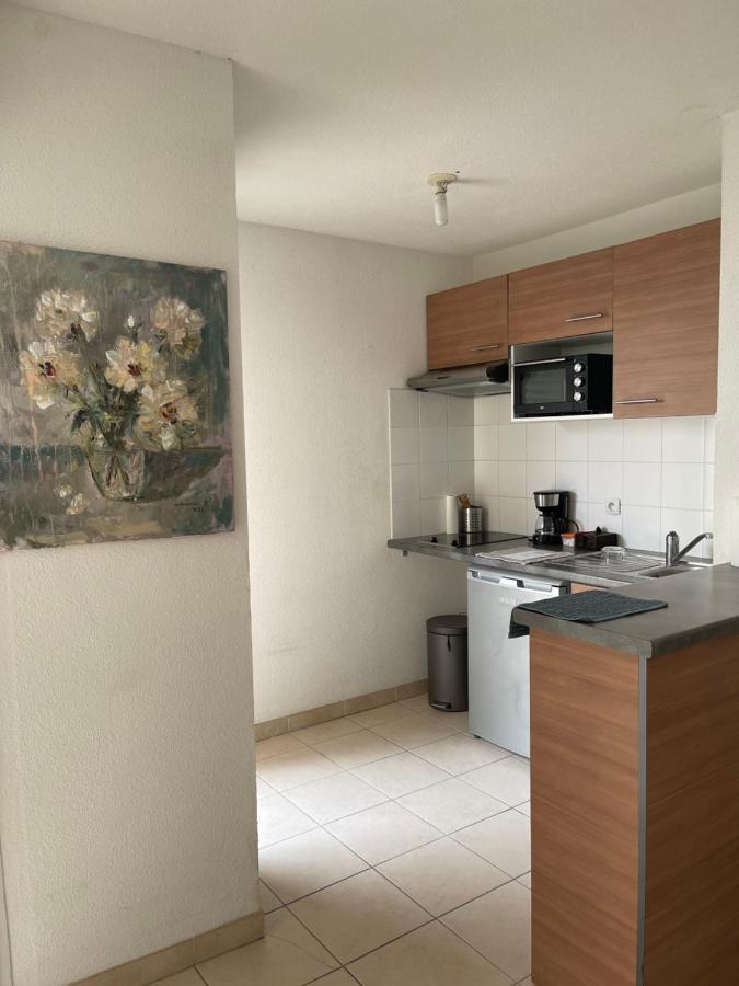 Superbe studio de 31m en rez de jardin Saint-Laurent-du-Var Buitenkant foto